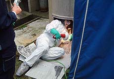 現状調査