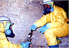 サンプリング調査