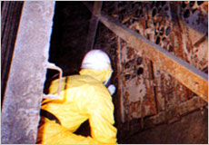 電気集じん装置内部調査