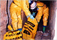 堆積灰等の除去